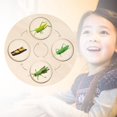 thumbnail image 1 of Ayudas para Enseñanza de Vida de Madera, Juguete Natural Educativo Temprano para Regalos Presentes, Niños Pequeños, Niños Y Niñas , Grillo CUTICAT Tablero de ciclo de vida, 1 of 8