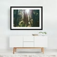 thumbnail image 2 of Sunny Forest - Washington Photography Forest Nature Wilderness Scenic Woodland Landscape Mystical Black Framed Wall Art Print 24 x 36 inches, 2 of 4