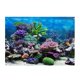 thumbnail image 3 of Etiqueta Engomada Del Fondo Del Acuario, Fondo Subacuático de Las Imágenes Decorativas Del Pecera Del Papel Pintado Adhesivo 3D Coral XL, 3 of 8