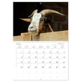 thumbnail image 6 of Who is that? With goats through the year (Monthly Wall Calendar 2026 16.5 x 23.4 (open)), CALVENDO 14 Month Calendar, 6 of 9
