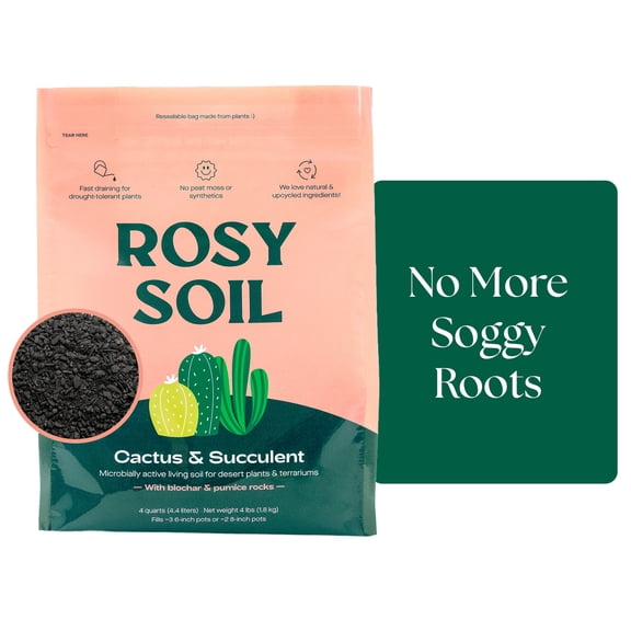 Rosy Soil Cactus and Succulent Potting Soil Mix, Organic Fast Draining Soil with Biochar, Peat Free Soil for Healthy Roots, Cacti, Succulents, 4 qt