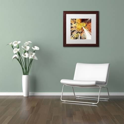 Trademark Fine Art "Damn Nation" Canvas Art by Philippe Sainte-Laudy White Matte, Wood Frame