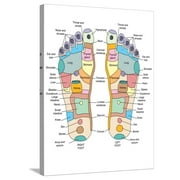 Art.com Reflexology Foot Map, Artwork Stretched Canvas Print Wall Art by Peter Gardiner, 24" x 32"