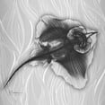 thumbnail image 2 of Koetsier, Albert 26x26 White Modern Wood Framed Museum Art Print Titled - Skate Vision 2, 2 of 4