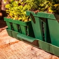 thumbnail image 2 of Vego Garden 16 Pack Bottom Watering Trays Plant Growing Trays for Seedlings, 10" x 10" Seedling Trays, 2 of 5