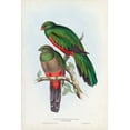 thumbnail image 2 of Gould, John 13x18 Black Ornate Wood Framed with Double Matting Museum Art Print Titled - Gould Tropical Birds I, 2 of 4