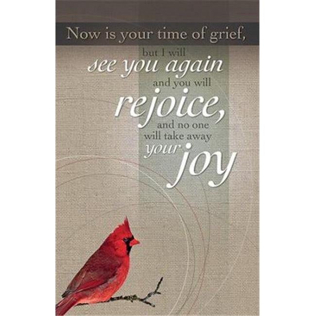 Anchor Wallace Publishers 149499 Now is Your Time of Grief & I Will See