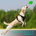 thumbnail image 4 of Dog Harness Harness for Small and Medium Dogs Anti Pull Chest Harness No Pull Safety Harness Auto Dog Harness Labrador Puppy Harness Jogging Escape Proof Soft Padded (Black,S), 4 of 6