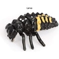 thumbnail image 4 of Animal Growth Cycle Biological Model , Growth Stage Lifelike Ladybug Life Cycle Model Set for Kids Education Insect Themed Party Favors, 4 of 4