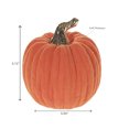 thumbnail image 3 of Dolomite Flocked Pumpkin (Small), 3 of 3