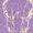 Purple, variant on Cozymy Women's Vintage Western Longhorn Bull Skull Graphic V-Neck Short Sleeve Casual Cowgirl Loose Fit Fashion T-Shirt