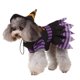 thumbnail image 1 of Disfraz de perro de Halloween, disfraz de mascota, disfraz divertido de mago a rayas, conjunto de abrigo y sombrero de 2 patas para perros Levamdar BST3134505-1, 1 of 5