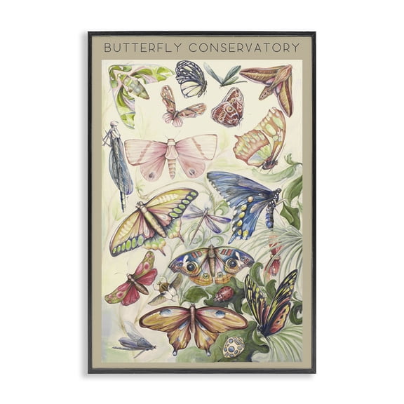 Stupell Industries Butterfly Conservatory Insects Black Framed Giclee Art, design by Diannart