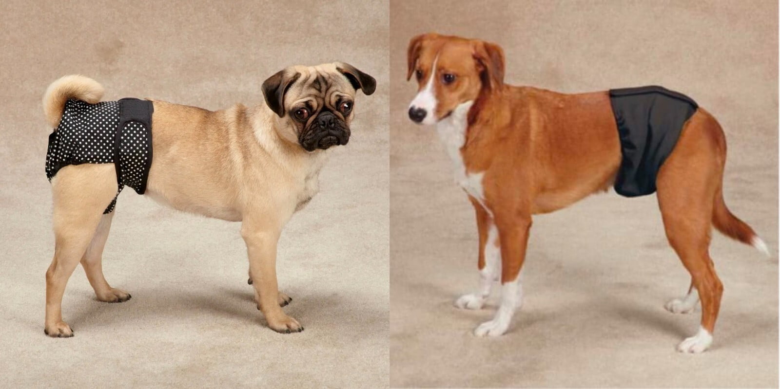 Washable Dog Diapers Male Wraps or 2 Unisex Cover Ups Reuseable Comfy Protection (Medium Cover Ups 2 Pack)