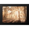 thumbnail image 2 of Deiter, Lori 18x13 Black Modern Framed Museum Art Print Titled - The Gift of Nature, 2 of 5