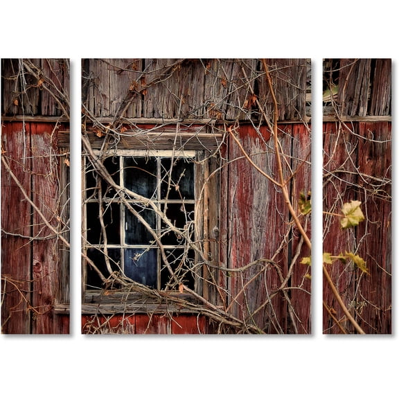 Trademark Fine Art "Old Barn Window" Canvas Art by Lois Bryan Three Panel Set