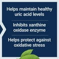 thumbnail image 4 of Life Extension Uric Acid Control - Ayuric Terminalia Bellerica Fruit Extract Supplement - Support Healthy Uric Acid Level - Non-GMO, Gluten Free - 60 Vegetarian Capsules, 4 of 10