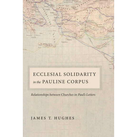 Ecclesial Solidarity in the Pauline Corpus (Paperback)