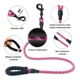 thumbnail image 4 of Wolfi Set De 2 Correas Para Perro De 1.5 M Con Plato Plegabl Color Negro y rosa, 4 of 6
