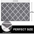 thumbnail image 2 of CPDD CPDD Tapis de Porte Intérieur, Antidérapant Absorbant Résistant à la Saleté Entrée Durable Lavable en Machine CPDD pour Entrée, Profil Bas Intérieur Tapis de Sol, 24 Pouces x 36 Pouces, Gris Gris 24 Pouces x 36 Pouces, 2 of 7