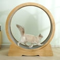 thumbnail image 3 of GROWTH TANK Roue d'Exercice pour Chat Tapis Roulant Intérieur Silencieux pour la Marche Appareil Moyen, 3 of 9