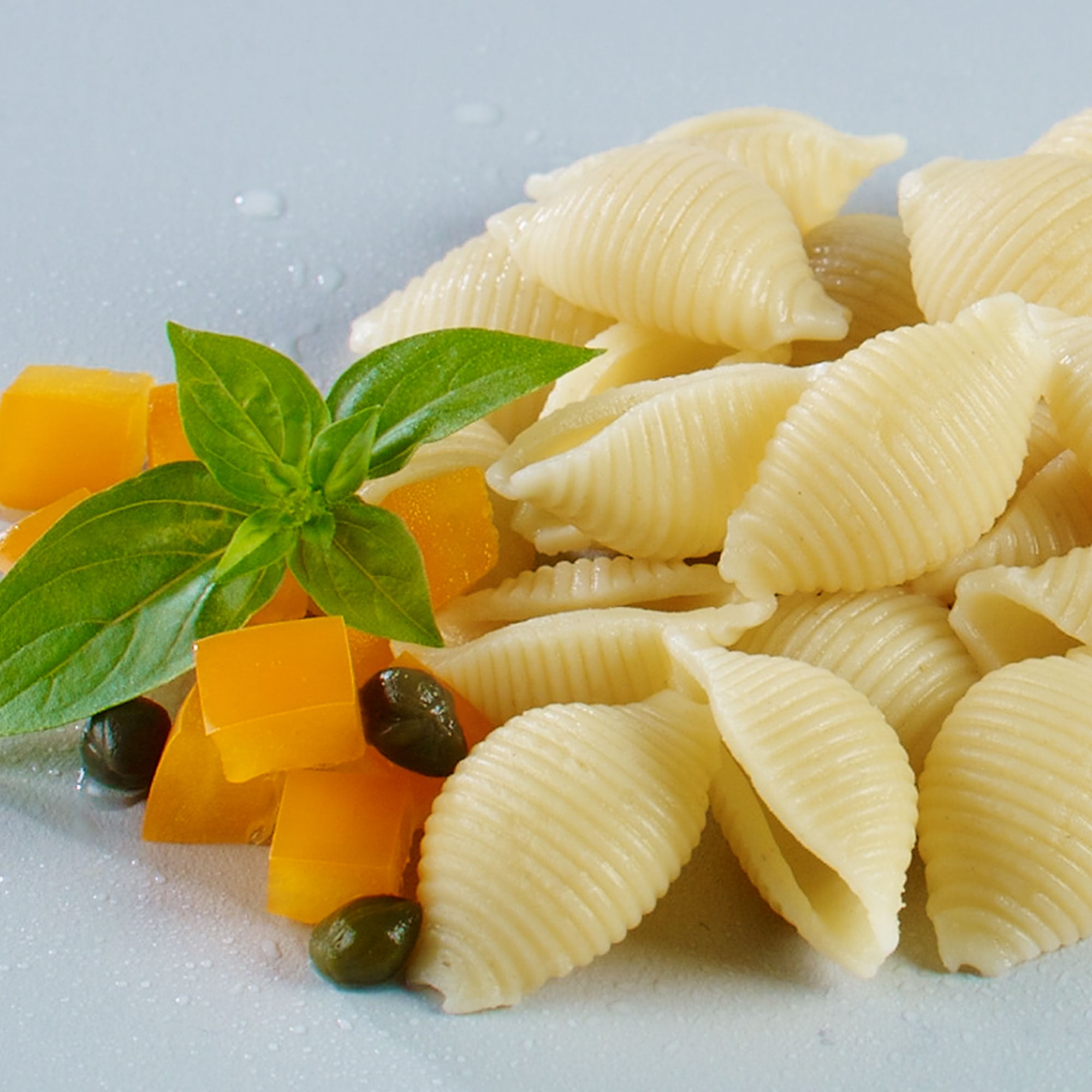 (4 pack) Skinner 12 oz Medium Shell Pasta