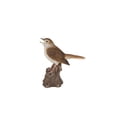 thumbnail image 3 of Hi-Line Gifts 6.25" Motion Activated Singing Nightingale Standing on Stump Outdoor Garden Statue, 3 of 8