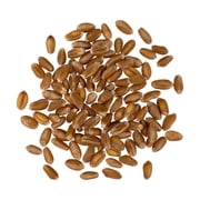 Certified Glyphosate Residue Free Hard Red Winter Wheat Berries | 3 LBS | Family Farmed in Washington State | Non-GMO Project Verified