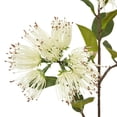 thumbnail image 2 of Hill Interiors Protea Nitida Stem Artificial Flower Spray, 2 of 4