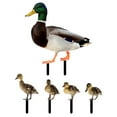 thumbnail image 1 of LEEYNEER Animal Solar Ducks Garden Decoration Insert Backyard Suitable for Lawn, 1 of 8