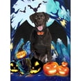 thumbnail image 6 of XUANYI Halloween Dog Bat Wings Costume, Pet Halloween Cosplay Party Dress Up Costume For Dogs And Cats (S), 6 of 6
