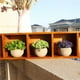 thumbnail image 3 of Miniatura de Lavanda Púrpura en Maceta de Pulpa Ovalada, Decoración de Interior con Planta Artificial de Suculenta, Modelo PB07-5, Incluye 1 Pieza (Tamaño Grande), 3 of 6