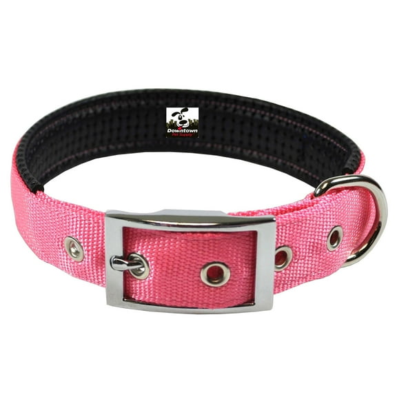 Downtown Pet Supply Dog Collars for Medium Dogs Padded Dog Collar Pink, M