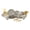 Dot, variant on Thyme & Table 60-Piece Dot Dinnerware & Gold Flatware Set, Service for 6