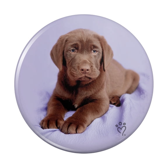 Lab Labrador Puppy Dog on Lavendar Kitchen Refrigerator Locker Button Magnet