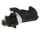 thumbnail image 4 of Modelo de Animal Salvaje Realista Sunnimix Bulldog Francés C, 4 of 7