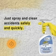 Urine Gone Stain & Odor Remover Concentrate for Dogs & Cats Marks on