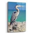 thumbnail image 2 of Epic Art 'Blue Heron' by Mike Jones, Acrylic Glass Wall Art, 16"x24", 2 of 8