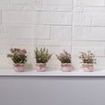 thumbnail image 1 of Las mejores plantas falsas rosas en maceta para decoración del hogar: mini flores artificiales con maceta para boda, accesorios fotográficos y decoración de escritorio, 1 of 6