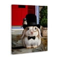 thumbnail image 2 of Stupell Industries Eclectic Lord Bunbury Rabbit Canvas Art, 24 x 30, by Lucia Heffernan, 2 of 8