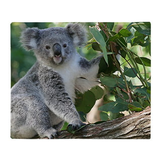 48 Wide Oh Baby & Koala No Sew Fleece Blanket
