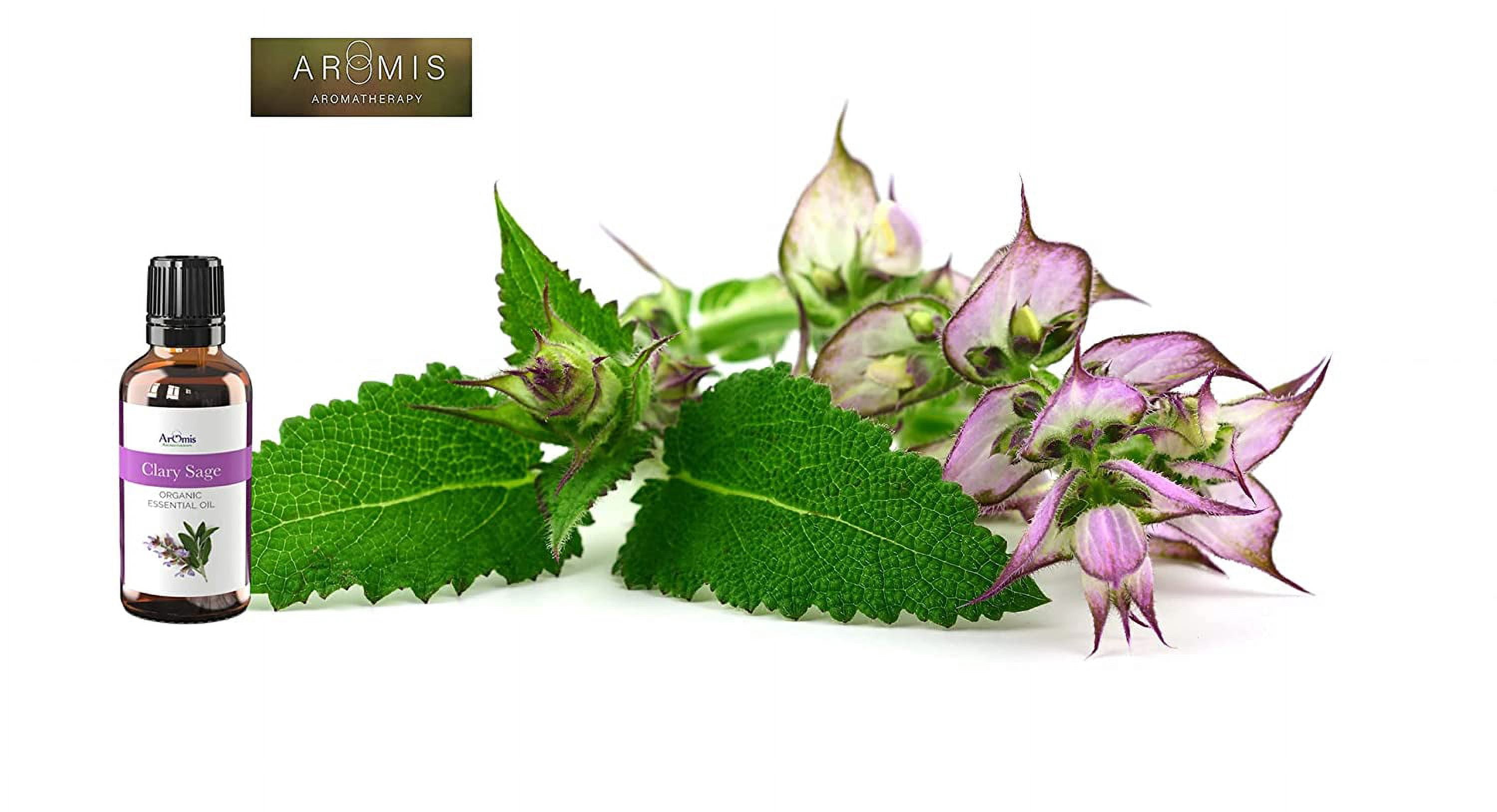 ArOmis Clary Sage Essential Oil - USDA Certified Organic - 100% Pure Therapeutic Grade - 30ml (1 fl oz), Undiluted, Premium, Oils Perfect for Aromatherapy Diffuser