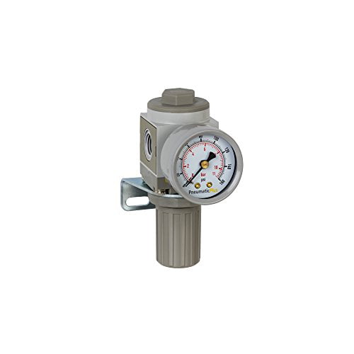 Pneumaticplus Sar4000T-N04Bg Air Pressure Regulator T-Handle 1/2 Npt With Gauge 