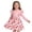 Pink., variant on Girls Overall Long Sleeve Dress Crew Neck Dresses Heart Print Fake 2 Tier Mesh Flared Hem Princess Outfit 2-9 Years