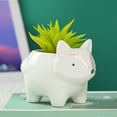 thumbnail image 6 of GQDIN Ceramic Cartoon Succulent Flower Pots for Home - Animal Themed Potted Planters with Drainage Holes for Plants | Personalized Creative Office Decor,Ideal for Desk,Shelf,Garden Display, 6 of 7