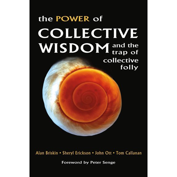 Pre-Owned The Power of Collective Wisdom: And the Trap of Collective Folly (Paperback) 1576754456 9781576754450