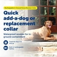 thumbnail image 2 of Collar receptor de valla empotrado para mascotas recargable PetSafe, 2 of 7
