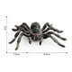 thumbnail image 4 of 6 Piezas 9,5 cm Gran Falso Juguete Modelo de Insecto Araña Realista Divertido Accesorio Aterrador de Halloween, 4 of 5