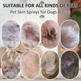 thumbnail image 3 of 1-3pcs Cassiel Pet - Dog & Cat Skin Spray, Pet Skin Care Spray, Natural Soothing Spray, 3 of 5