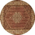 thumbnail image 1 of Ahgly Company Indoor Round Persian Brown Traditional Area Rugs, 6' Round, 1 of 4